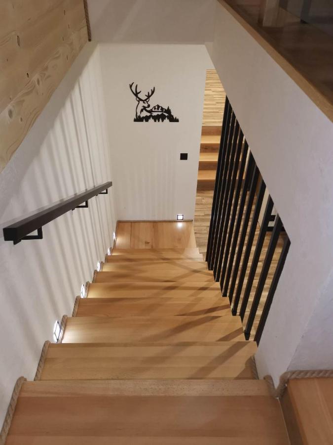 Apartament Skorusinka W Poblizu Chocholowskich Term Witów Εξωτερικό φωτογραφία
