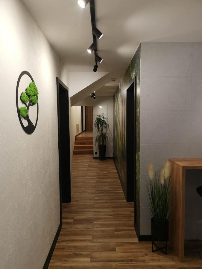 Apartament Skorusinka W Poblizu Chocholowskich Term Witów Εξωτερικό φωτογραφία