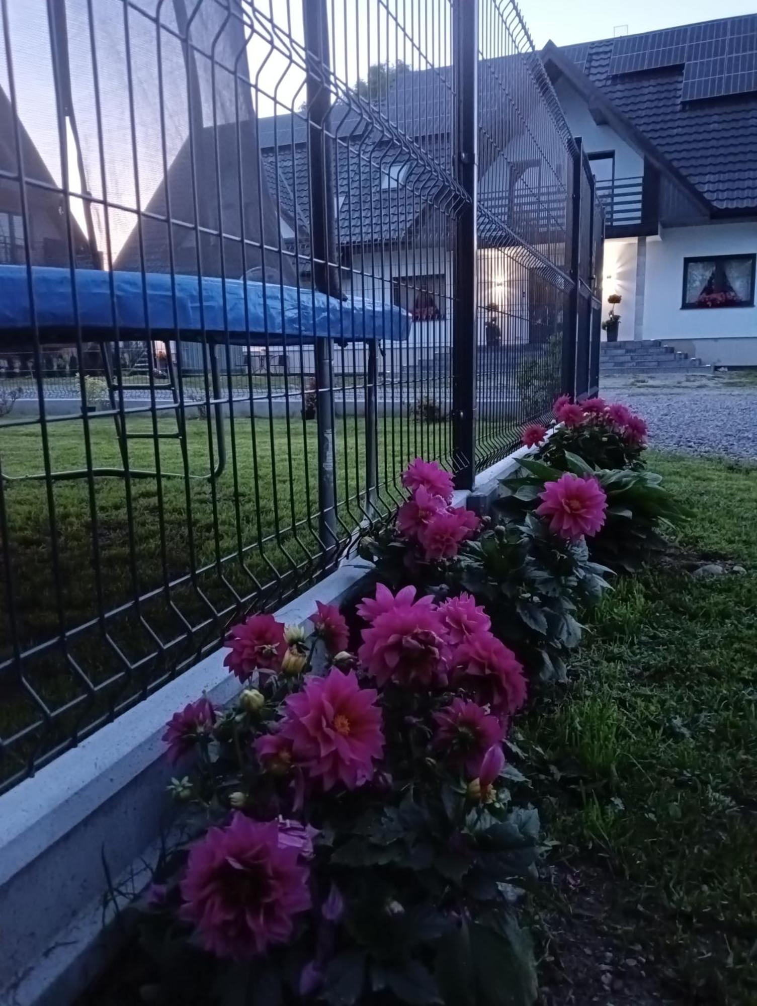 Apartament Skorusinka W Poblizu Chocholowskich Term Witów Εξωτερικό φωτογραφία